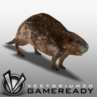 Preview image for 3D product Low Poly Animals - Beaver