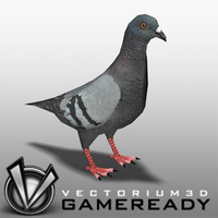 Preview image for 3D product Low Poly Animals - Pigeon