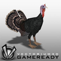 Preview image for 3D product Low Poly Animals - Turkey