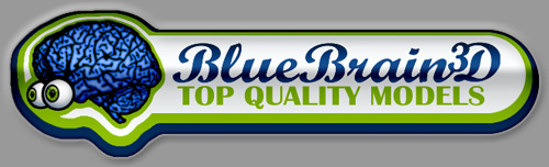Bluebrain3D - Top Quality Models